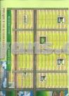 Layout Plan of 3 Kottah Land For Sale